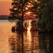 Munden Point Cypress Sunset by timerskine