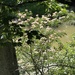 6 20 View of the river