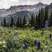 Yankee Boy Basin by k9photo