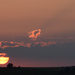 Good night, Sun