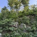 6 21 Great Smoky Mountains NP