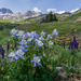American Basin by kvphoto