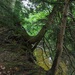 Ridge above the stream 