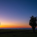Silent Morning