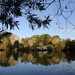 Back to Basics challenge - Mapleton Lilyponds