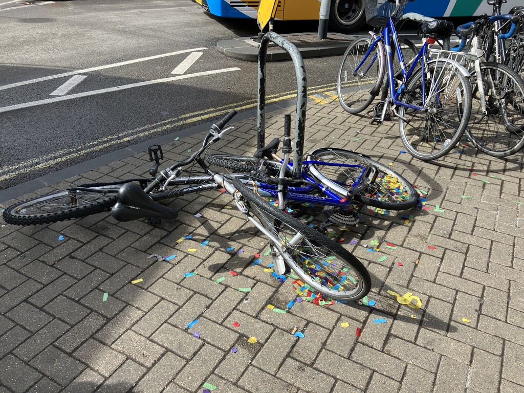 Better Not  by g3xbm