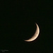 Waxing Crescent 