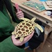 Sea turtle