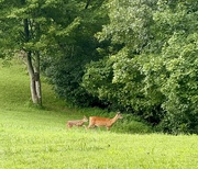 15th Jul 2025 - Mom and Baby