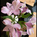 Dinner Flowers