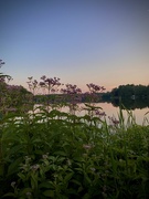 29th Jul 2025 - My favorite place