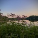 My favorite place