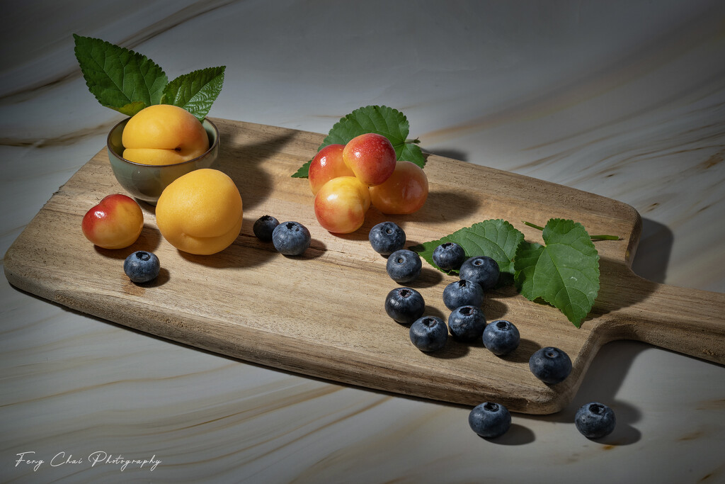 Day210 by aprilfengchaigmailcom