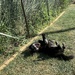 Fresh grass!
