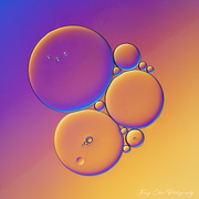 14th Jul 2025 - Day195