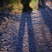 Shadow Portrait