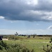 Clouds over the golf course