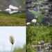 Velocity Basin collage