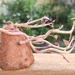 Flying Ants' Launch Pad by 30pics4jackiesdiamond