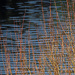  twigs