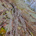 HDRpainting SOOC 2