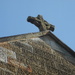 St John's Anglican Church Victoria Street.  Darlinghurst. 