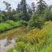 The Creek