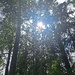 Look Way Up