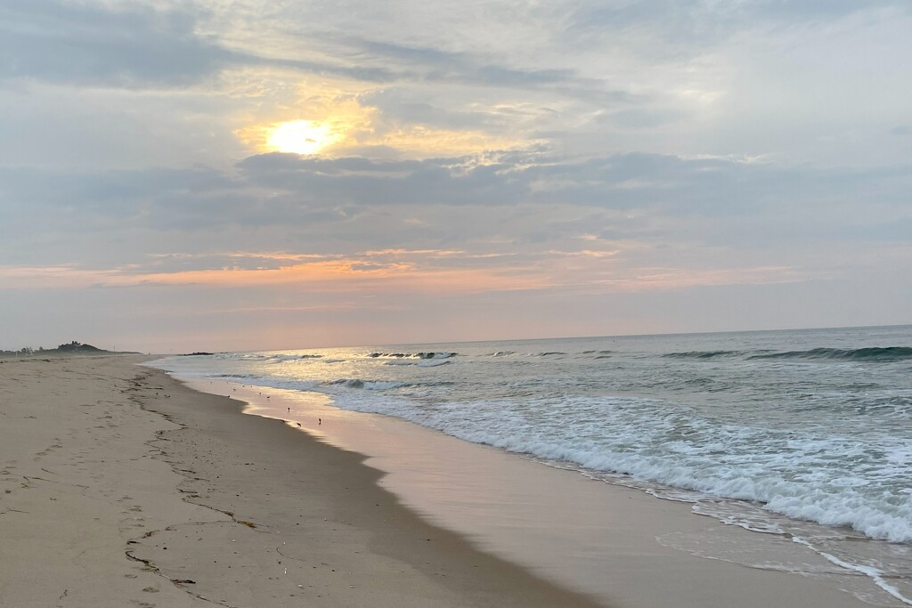 A week on Long Island, New York visiting my sister by tunia