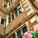 Elizabethan Architecture 