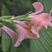 In the Rain