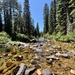 Such a Peaceful Place