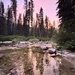 Night colors