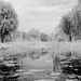 Shadows Rest