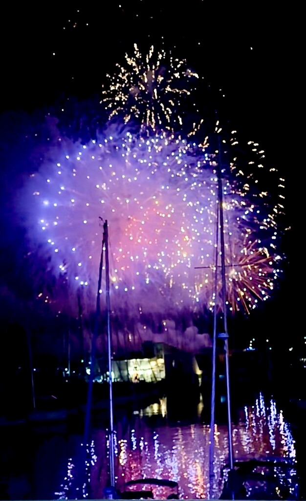 Purple.  by cocobella