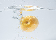 23rd Jul 2025 - Day204