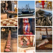 31st Jul 2025 - Gulf of Georgia Cannery