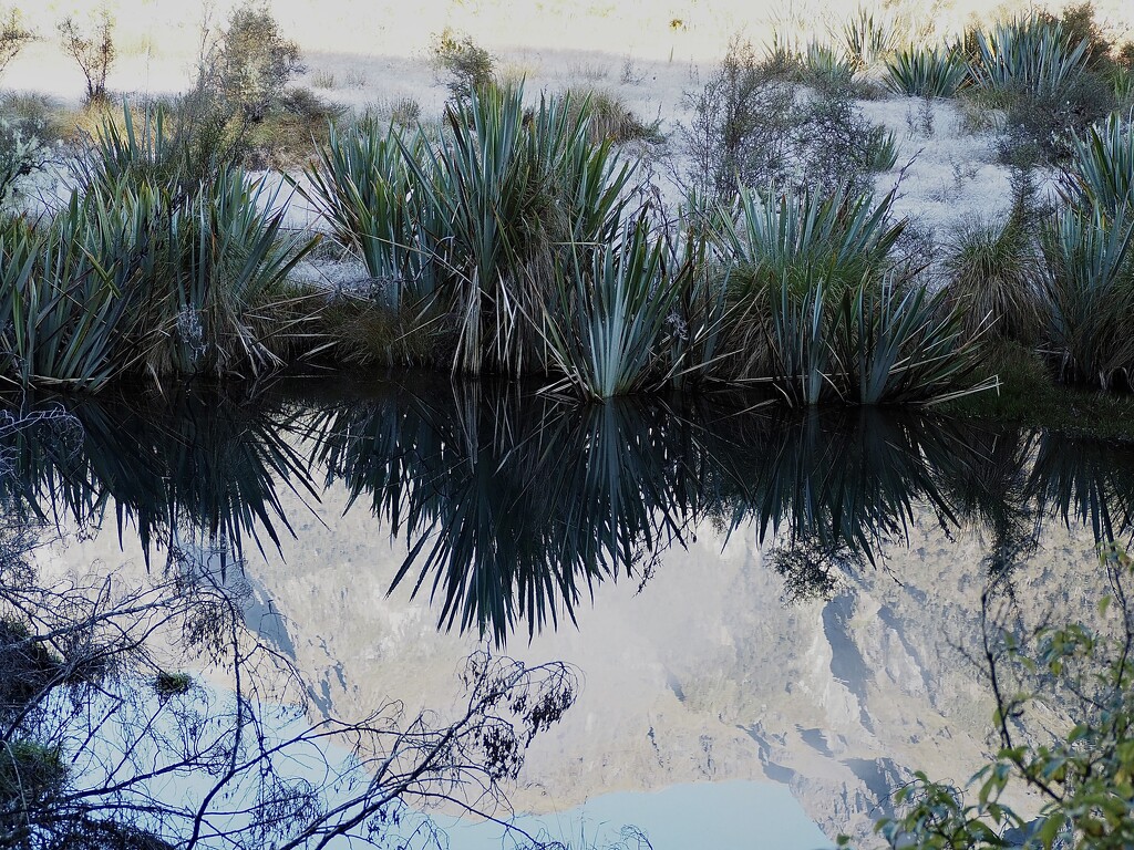 The  Mirror Lake on the way to Milford Sounds quite a heavy frost  by whippy