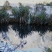 The  Mirror Lake on the way to Milford Sounds quite a heavy frost  by whippy