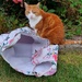 I'll help you put the washing out