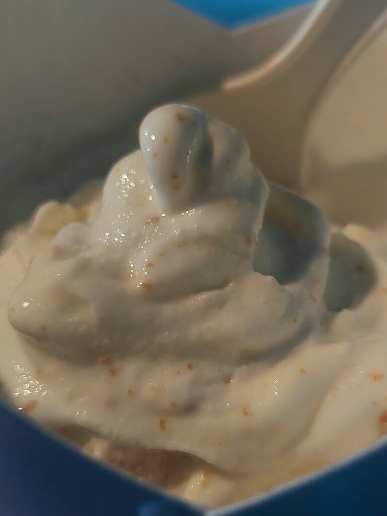 Vanilla Ice Cream... with Biscoff!  by princessicajessica