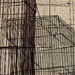 More Lines