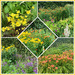 Herbaceous Borders