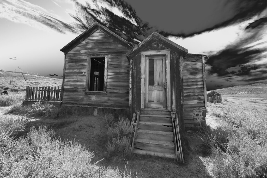 Bodie by blueberry1222