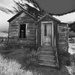 Bodie