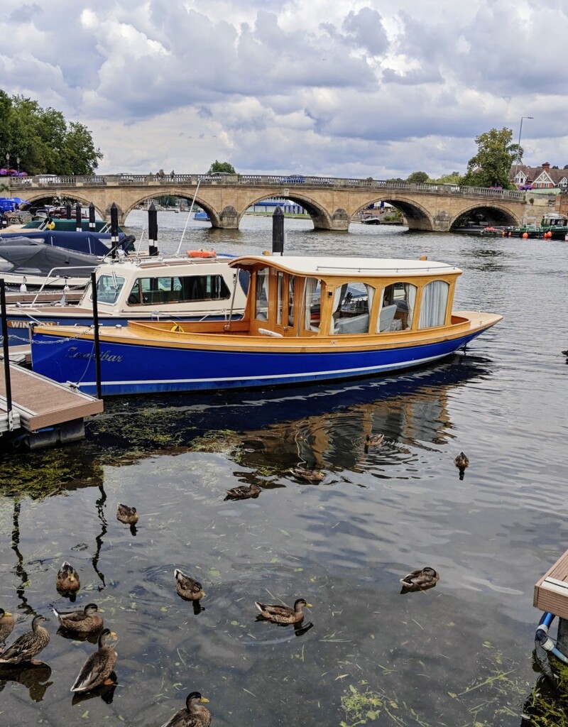 Henley Bridge by nickrh14