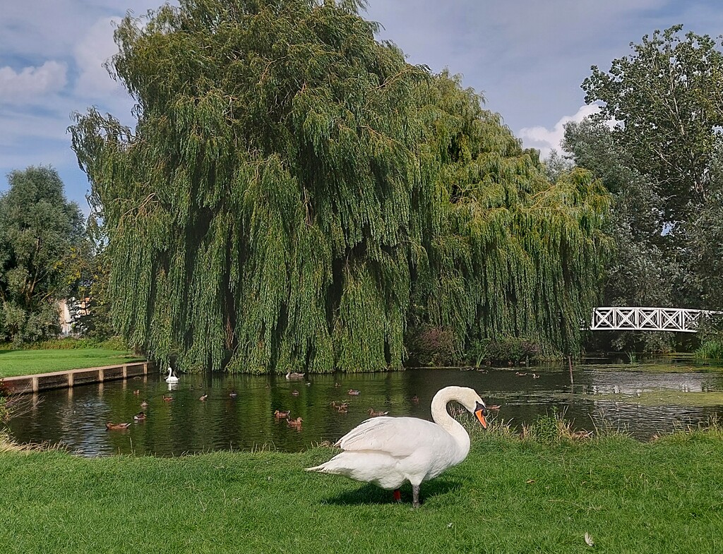 Riverside park by busylady