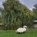 Riverside park