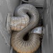 Serpentine