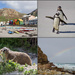 The Cape Tour